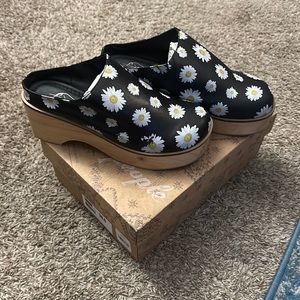 Free People (conversational Clog) Daisy 🌺